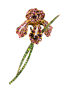 PAULDING FARNHAM'S GLORIOUS IRIS BROOCH
