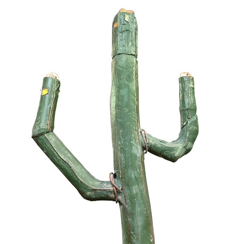 Cactus lamp