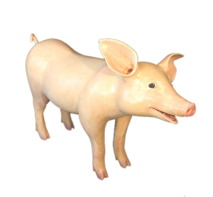 Laughing Pig sculpture